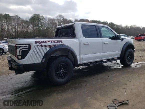 2024 Ford F-150 Raptor with VIN 1FTFW1RG5RFA24884, listed as a Copart auction lot 48981025 with 116 mi miles and Salvage Title. Bid and sale history available at DreamBid. Image 3.