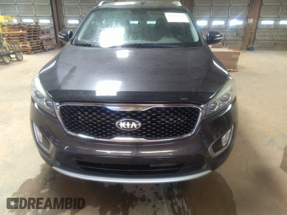 2016 Kia Sorento EX with VIN 5XYPH4A11GG147552, listed as a IAAI auction lot 41984320 with 106,494 mi miles. Bid and sale history available at carsss.com. Image 11.