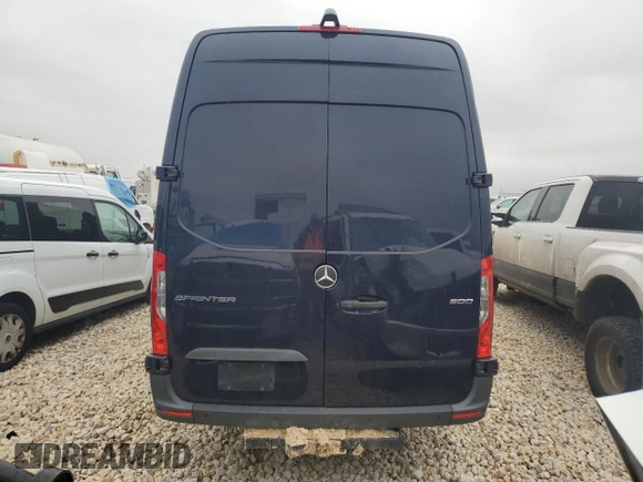 2022 Mercedes-Benz Sprinter with VIN W1Y4EDHYXNT107286, listed as a Copart auction lot 44688725 with Not Provided miles and Salvage Title. Bid and sale history available at DreamBid. Image 10.