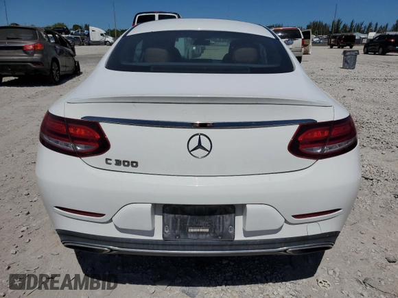 2019 Mercedes-Benz C 300 with VIN WDDWJ8DB0KF849018, listed as a Copart auction lot 49503425 with 67,672 mi miles and Salvage title. Bid and sale history available at DreamBid. Image 6.