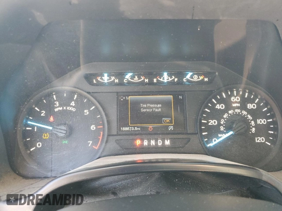 2019 Ford F-150 XL with VIN 1FTEW1CP1KKE44496, listed as a Copart auction lot 48352345 with 188,673 mi miles and Clean Title. Bid and sale history available at carsss.com. Image 9.