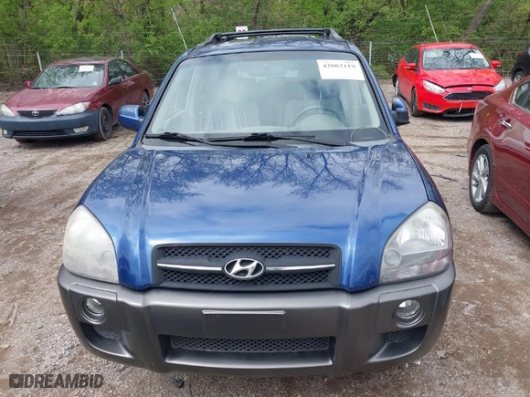 2006 Hyundai Tucson GLS with VIN KM8JN72D36U409525, listed as a IAAI auction lot 42082119 with 142,163 mi miles. Bid and sale history available at carsss.com. Image 6.