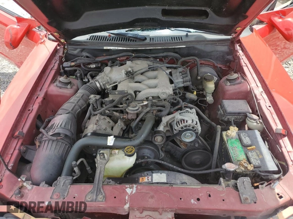 2002 Ford Mustang Deluxe with VIN 1FAFP44472F213589, listed as a Copart auction lot 60810725 with Not provided miles and Salvage title. Bid and sale history available at DreamBid. Image 11.