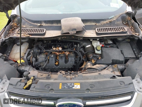 2013 Ford Escape Titanium with VIN 1FMCU9J96DUD74870, listed as a IAAI auction lot 42415332 with 178,651 mi miles and . Bid and sale history available at DreamBid. Image 10.
