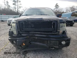 2013 Ford F-150 XL with VIN 1FTFW1ET6DKF08260, listed as a Copart auction lot 42494635 with 252,331 mi miles and Salvage Title. Bid and sale history available at carsss.com. Image 5.