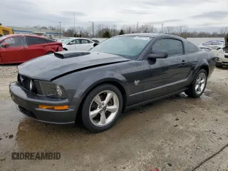 2009 Ford Mustang GT with VIN 1ZVHT82H995143652, listed as a Copart auction lot 49263715 with 141,941 mi miles and Salvage title. Bid and sale history available at DreamBid. Image 1.