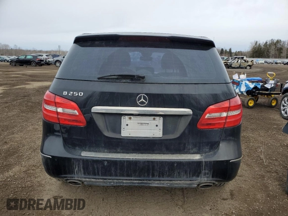 2014 Mercedes-Benz B 250 Sports Tourer with VIN WDDMH4EB9EJ187676, listed as a Copart auction lot 48683595 with Not Provided miles and Non Repairable. Bid and sale history available at DreamBid. Image 6.