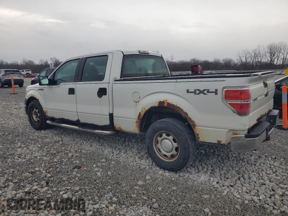 2011 Ford F-150 XL with VIN 1FTFW1EF9BKE12811, listed as a Copart auction lot 50792495 with 148,616 mi miles and Clean Title. Bid and sale history available at DreamBid. Image 2.