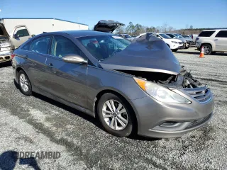 2014 Hyundai Sonata GLS with VIN 5NPEB4AC7EH945098, listed as a Copart auction lot 46287275 with Not Provided miles and Salvage Title. Bid and sale history available at carsss.com. Image 4.
