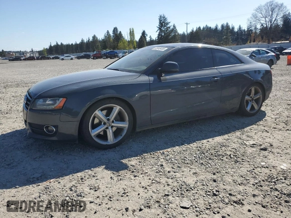 2009 Audi A5 with VIN WAUDK78T69A017408, listed as a Copart auction lot 53948485 with 194,232 mi miles and Salvage Title. Bid and sale history available at carsss.com. Image 1.