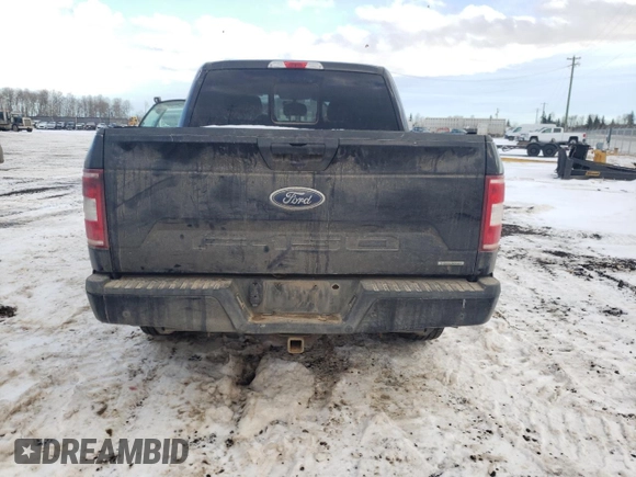2019 Ford F-150 XL with VIN 1FTEW1EP9KKD61251, listed as a Copart auction lot 81344233 with 141,639 mi miles and Salvage title. Bid and sale history available at DreamBid. Image 6.