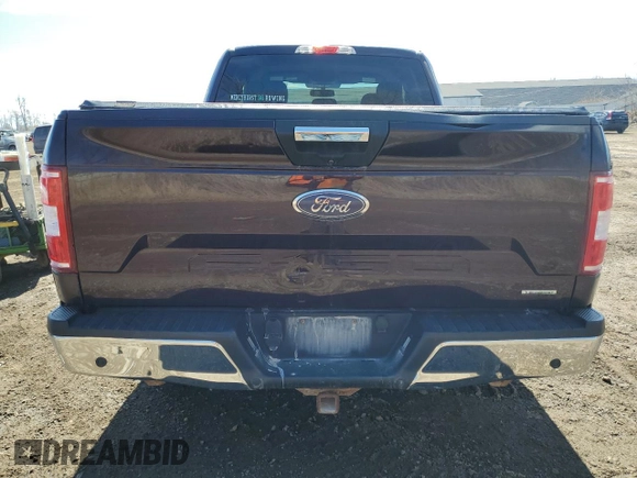 2018 Ford F-150 XL with VIN 1FTEX1CP3JKG09699, listed as a Copart auction lot 49448455 with 74,673 mi miles and Clean Title. Bid and sale history available at carsss.com. Image 6.