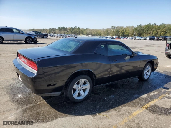 2009 Dodge Challenger SE with VIN 2B3LJ44V59H522088, listed as a Copart auction lot 49044355 with 110,853 mi miles and Salvage Title. Bid and sale history available at carsss.com. Image 3.