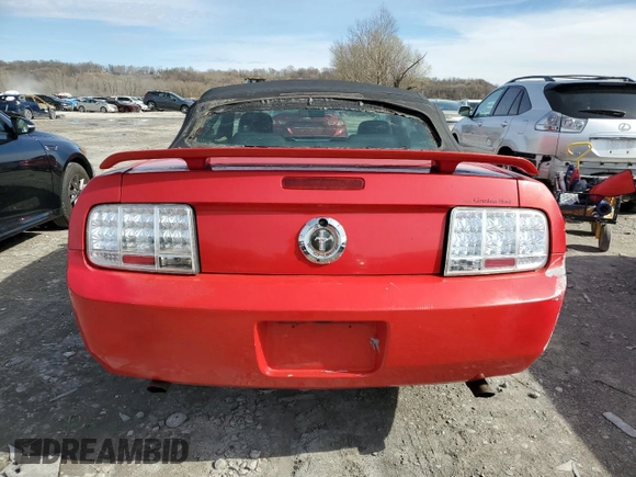 2006 Ford Mustang Standard with VIN 1ZVFT84N465151325, listed as a Copart auction lot 50571645 with Not Provided miles and Clean Title. Bid and sale history available at carsss.com. Image 6.