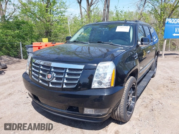 2011 Cadillac Escalade ESV Premium with VIN 1GYS4JEFXBR161853, listed as a IAAI auction lot 42095261 with 210,363 mi miles and . Bid and sale history available at DreamBid. Image 2.