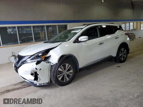 2020 Nissan Murano SV with VIN 5N1AZ2BS0LN118637, listed as a Copart auction lot 44741125 with 141,518 mi miles and Salvage Title. Bid and sale history available at DreamBid. Image 1.