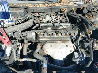 2002 Honda Accord LX with VIN JHMCG56482C010016, listed as a IAAI auction lot 43534866 with 250,325 mi miles and . Bid and sale history available at DreamBid. Image 13.