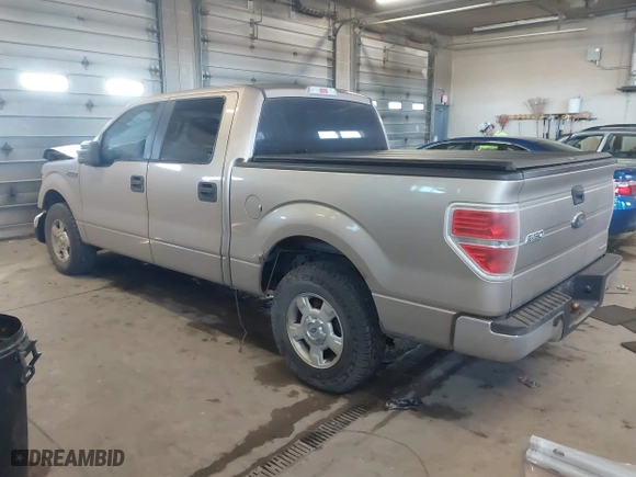 2013 Ford F-150 XL with VIN 1FTEW1CM8DKF66846, listed as a IAAI auction lot 41636606 with 129,161 mi miles. Bid and sale history available at carsss.com. Image 3.