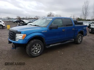 2009 Ford F-150 XL with VIN 1FTRW14869FA16788, listed as a Copart auction lot 50328795 with 307,921 mi miles and Clean Title. Bid and sale history available at carsss.com. Image 1.