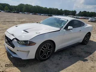 2019 Ford Mustang EcoBoost с VIN 1FA6P8TH5K5132186, выставлен на аукционе Copart как лот 62317015 с пробегом 97 816 миль миль и Списание • Salvage title. История ставок и продаж доступна на DreamBid. Изображение 1.