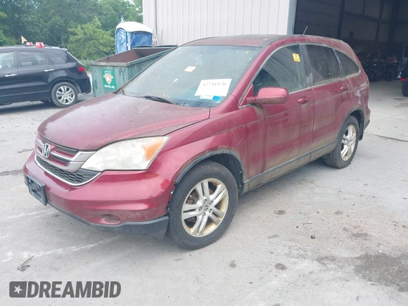 2011 Honda CR-V EX-L with VIN 5J6RE4H79BL096465, listed as a IAAI auction lot 42741176 with Not provided miles and . Bid and sale history available at DreamBid. Image 2.