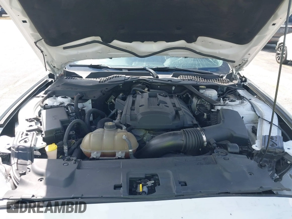 2019 Ford Mustang EcoBoost with VIN 1FATP8UH8K5138811, listed as a IAAI auction lot 41811193 with 90,212 mi miles and . Bid and sale history available at DreamBid. Image 10.