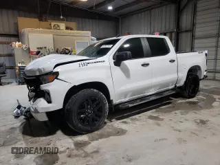 2024 Chevrolet Silverado 1500 Custom with VIN 3GCPDBEK8RG233125, listed as a Copart auction lot 43707755 with 18,439 mi miles and Salvage Title. Bid and sale history available at DreamBid. Image 1.