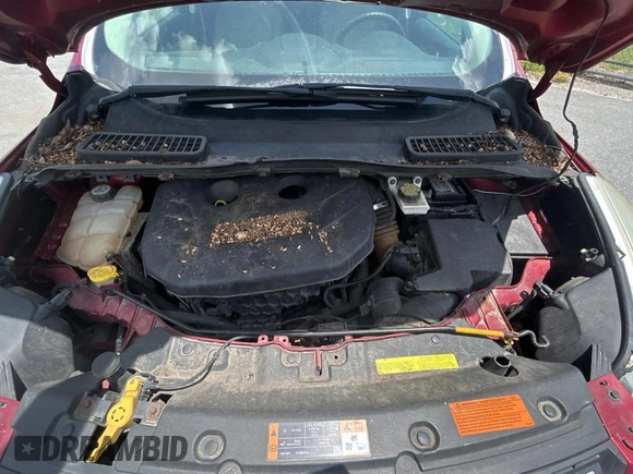 2013 Ford Escape SE with VIN 1FMCU9G95DUD25554, listed as a Copart auction lot 60899985 with Not provided miles and Clean title. Bid and sale history available at DreamBid. Image 7.