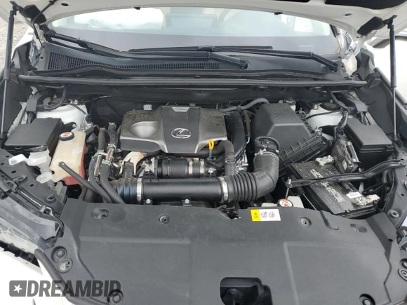 2018 Lexus NX 300 with VIN JTJYARBZ0J2099020, listed as a Copart auction lot 59034905 with 81,198 mi miles and Salvage title. Bid and sale history available at DreamBid. Image 12.