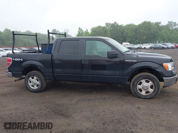 2010 Ford F-150 XL with VIN 1FTEW1E84AFA54957, listed as a IAAI auction lot 42456388 with 197,370 mi miles and . Bid and sale history available at DreamBid. Image 13.