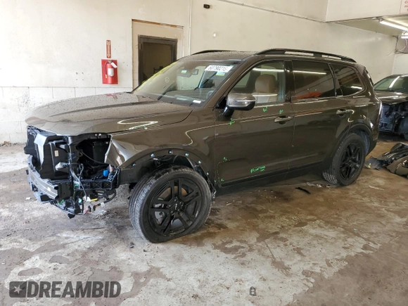 2024 Kia Telluride SX Prestige X-Pro с VIN 5XYP5DGC4RG449552, выставлен на аукционе Copart как лот 60790215 с пробегом 14 869 миль миль и Списание • Salvage title. История ставок и продаж доступна на DreamBid. Изображение 1.