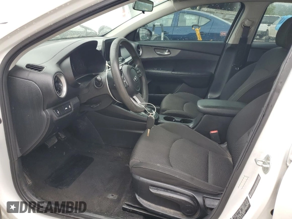 2019 Kia Forte LXS с VIN 3KPF24AD1KE084045, выставлен на аукционе Copart как лот 59874895 с пробегом 153 335 миль миль и Списание • Salvage title. История ставок и продаж доступна на DreamBid. Изображение 7.
