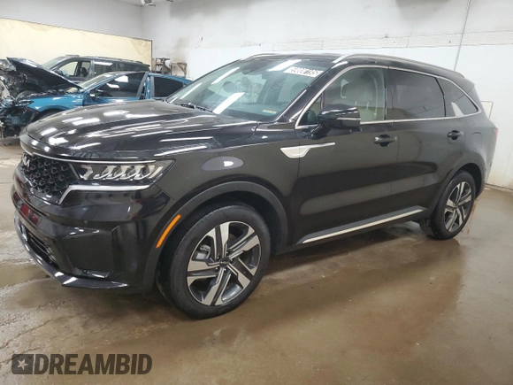 2024 Kia Sorento EX with VIN KNDRHDLGXR5258302, listed as a Copart auction lot 59800195 with 22,250 mi miles and Clean title. Bid and sale history available at DreamBid. Image 1.