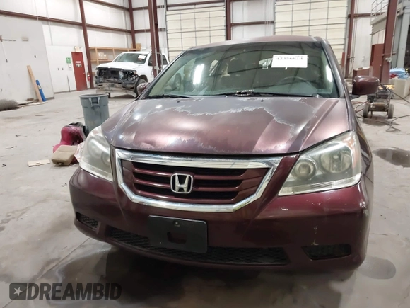 2009 Honda Odyssey EX с VIN 5FNRL38419B406486, выставлен на аукционе IAAI как лот 42356814 с пробегом Не указан миль и . История ставок и продаж доступна на DreamBid. Изображение 12.