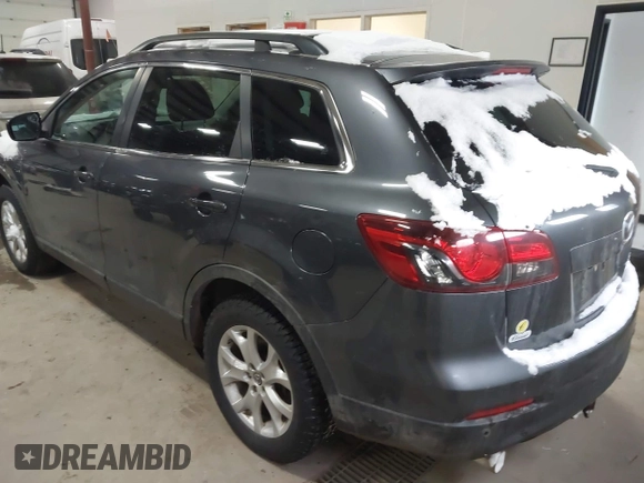 2013 Mazda CX-9 Touring with VIN JM3TB3CA1D0420702, listed as a IAAI auction lot 41506922 with 132,982 mi miles. Bid and sale history available at carsss.com. Image 3.