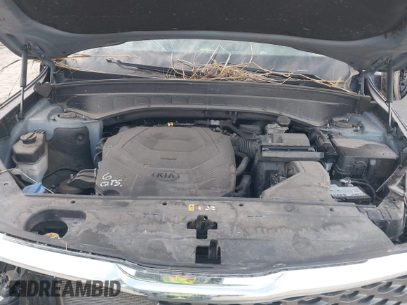 2020 Kia Telluride LX with VIN 5XYP2DHC6LG009458, listed as a IAAI auction lot 41839095 with 83,701 mi miles and . Bid and sale history available at DreamBid. Image 10.