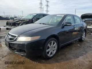 2005 Acura TSX with VIN JH4CL96875C023107, listed as a Copart auction lot 45725565 with 313,016 mi miles and Salvage Title. Bid and sale history available at carsss.com. Image 1.