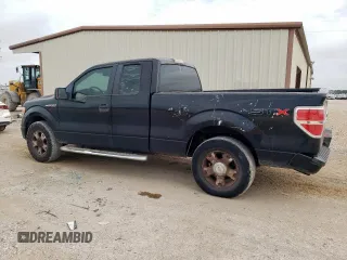 2010 Ford F-150 XL with VIN 1FTEX1CW9AKC19892, listed as a Copart auction lot 63343325 with 164,158 mi miles and Salvage title. Bid and sale history available at DreamBid. Image 2.