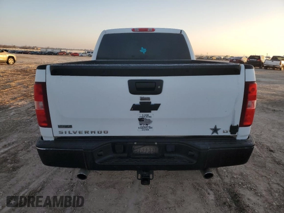 2010 Chevrolet Silverado 1500 LT with VIN 1GCSCSE03AZ215163, listed as a Copart auction lot 42872455 with 96,660 mi miles and Salvage Title. Bid and sale history available at DreamBid. Image 6.