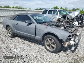 2006 Ford Mustang Standard with VIN 1ZVFT84N865126752, listed as a Copart auction lot 57160965 with Not provided miles and Salvage title. Bid and sale history available at DreamBid. Image 4.
