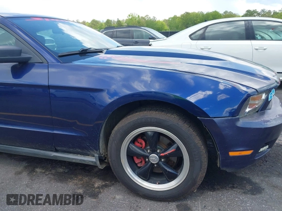 2010 Ford Mustang V6 with VIN 1ZVBP8AN6A5158017, listed as a IAAI auction lot 42005121 with 229,045 mi miles and . Bid and sale history available at DreamBid. Image 13.