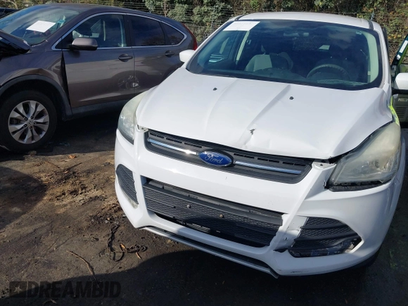 2014 Ford Escape SE with VIN 1FMCU0GX0EUE35004, listed as a IAAI auction lot 40811631 with 126,464 mi miles. Bid and sale history available at carsss.com. Image 6.