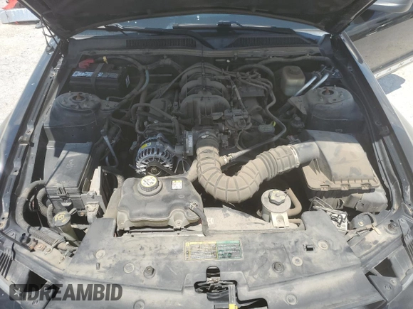 2005 Ford Mustang Deluxe with VIN 1ZVFT84N655254096, listed as a Copart auction lot 62481145 with 113,078 mi miles and Salvage title. Bid and sale history available at DreamBid. Image 11.