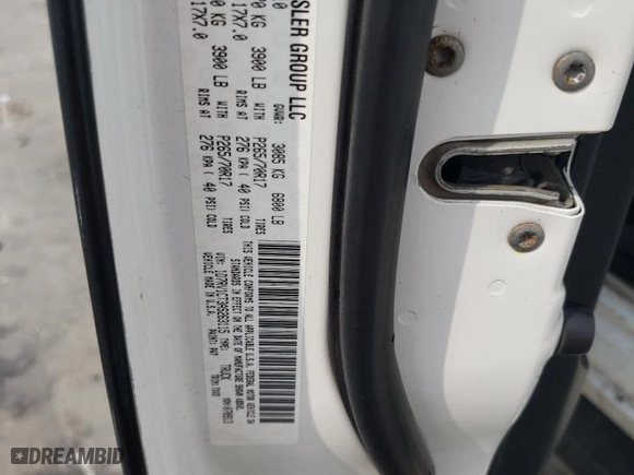 2010 Dodge Ram 1500 SLT with VIN 1D7RV1CT3AS263115, listed as a Copart auction lot 66958924 with 250,334 mi miles and Salvage Title. Bid and sale history available at carsss.com. Image 12.