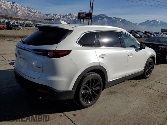 2022 Mazda CX-9 Touring Plus with VIN JM3TCBAY1N0620696, listed as a Copart auction lot 85800114 with 30,244 mi miles and Salvage Title. Bid and sale history available at carsss.com. Image 3.