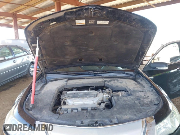 2009 Acura TL Technology z VIN 19UUA86569A013697, wystawiony jako IAAI lot #42265973 z przebiegiem 228 922 mil mil oraz . Historia ofert i sprzedaży dostępna na DreamBid. Obrazek 10.