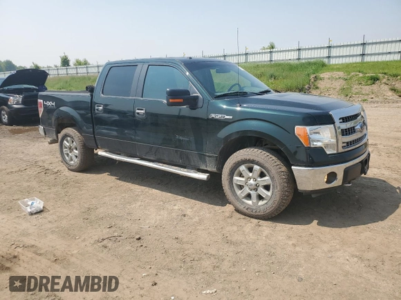 2014 Ford F-150 XL with VIN 1FTFW1EF1EFC72315, listed as a Copart auction lot 59571695 with 195,984 mi miles and Clean title. Bid and sale history available at DreamBid. Image 4.