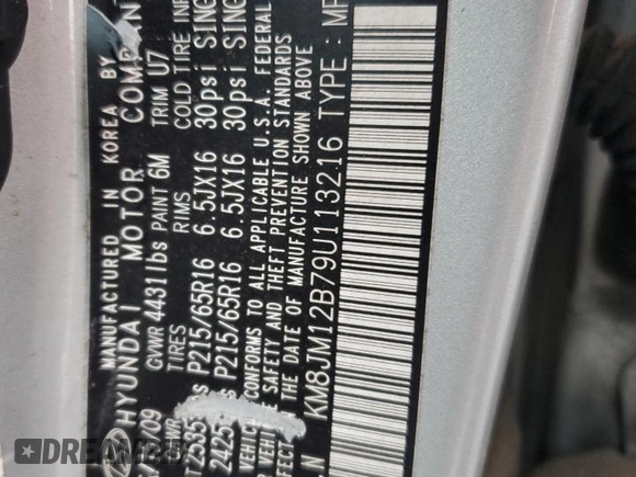 2009 Hyundai Tucson GLS with VIN KM8JM12B79U113216, listed as a Copart auction lot 75191434 with 132,677 mi miles and Salvage Title. Bid and sale history available at carsss.com. Image 13.