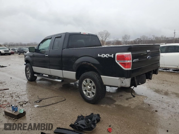 2010 Ford F-150 XL with VIN 1FTFX1EV8AFA56329, listed as a Copart auction lot 47362025 with 149,478 mi miles and Salvage Title. Bid and sale history available at DreamBid. Image 2.