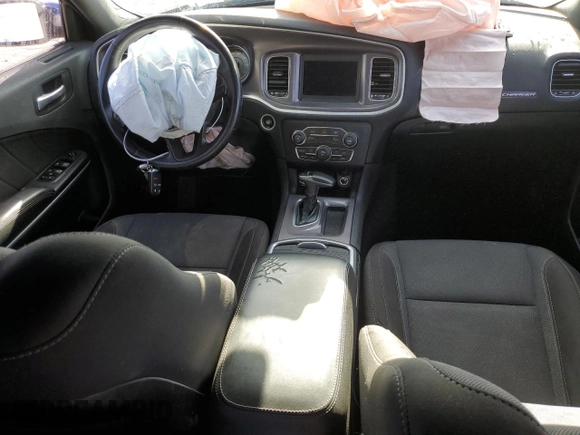 2019 Dodge Charger SXT with VIN 2C3CDXBG7KH745559, listed as a Copart auction lot 48002275 with 115,248 mi miles and Salvage title. Bid and sale history available at DreamBid. Image 8.